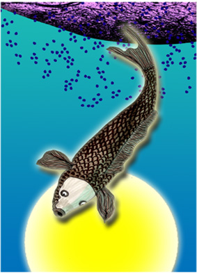 サムネール画像
